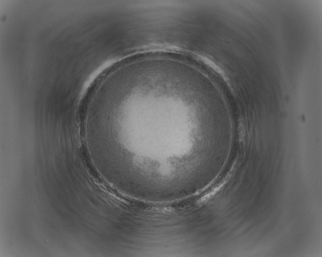 X0000076241310200610051145