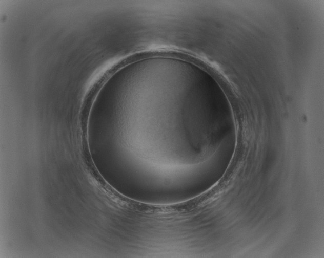 X0000076241319200610051145