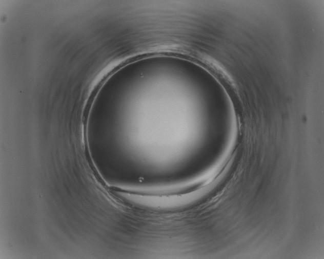 X0000076241324200610051145