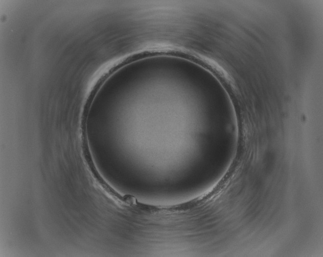 X0000076241327200610051145