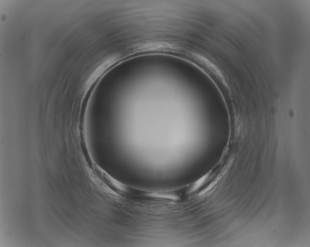 X0000076241330200610051145