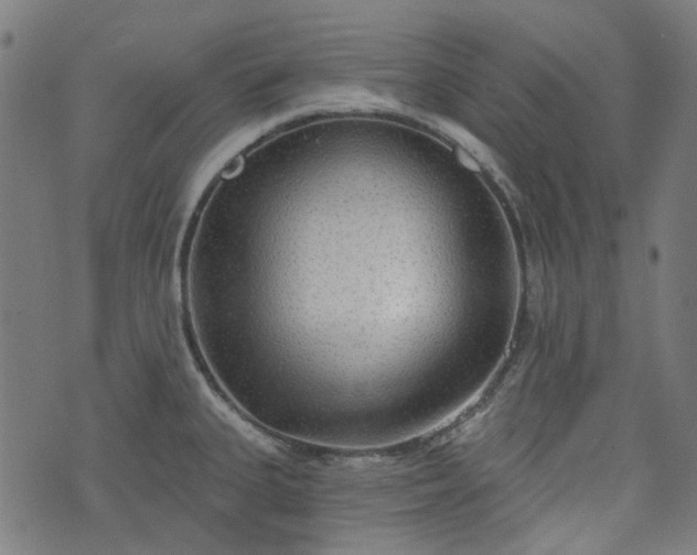 X0000076241335200610051145