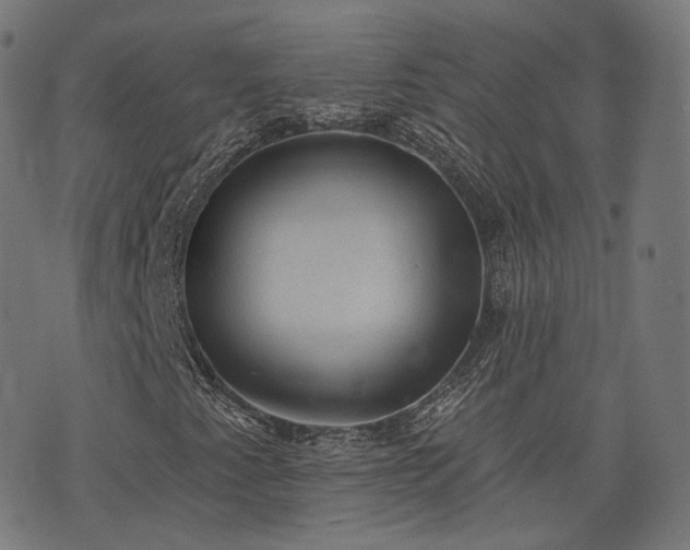 X0000076241345200610051145