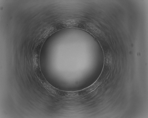 X0000076241346200610051145