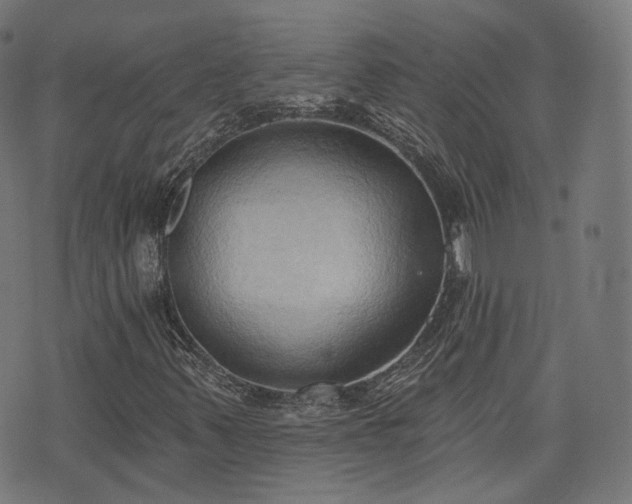 X0000076241347200610051145