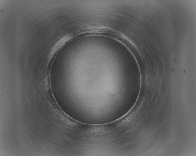 X0000076241362200610051144