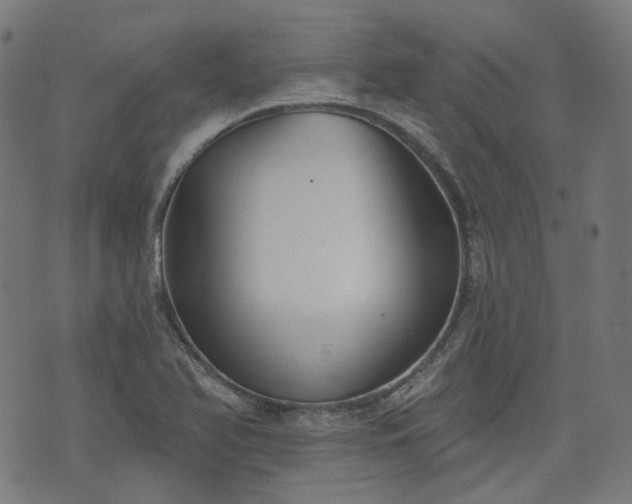 X0000076241366200610051144
