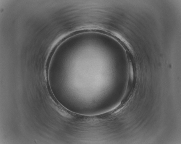 X0000076241372200610051144