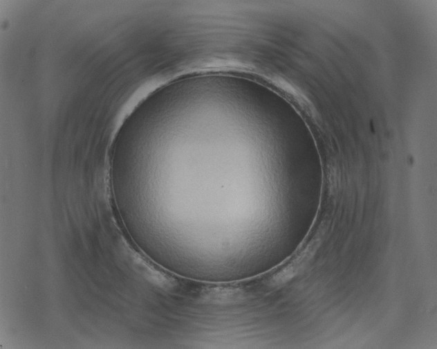 X0000076241374200610051144
