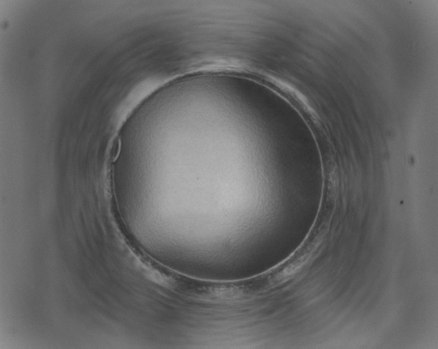 X0000076241375200610051144