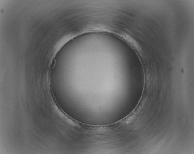 X0000076241382200610051144