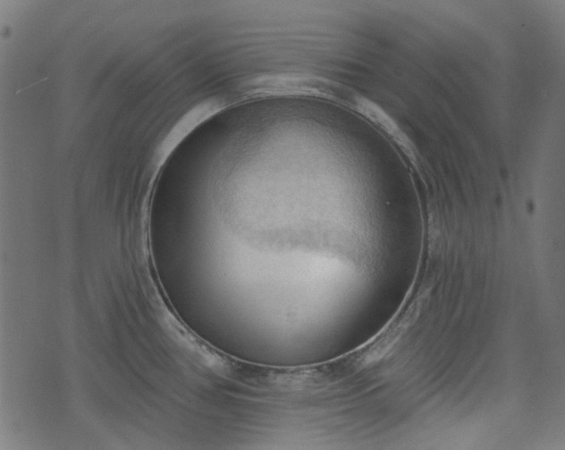 X0000076241386200610051144
