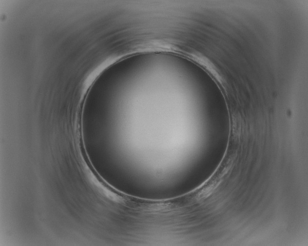 X0000076241387200610051144