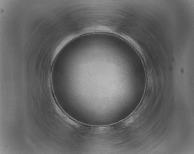 X0000076241390200610051144