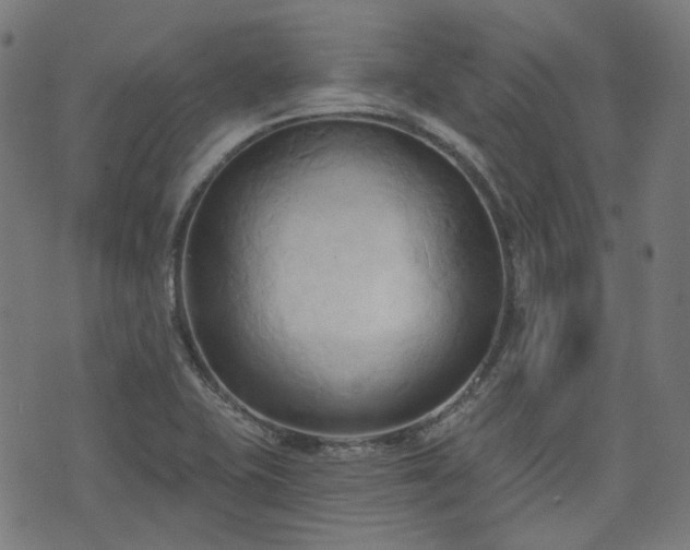 X0000076241415200610051143
