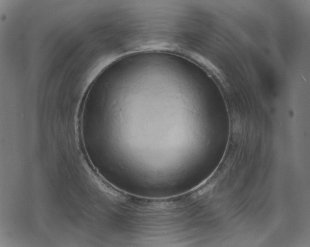 X0000076241423200610051144