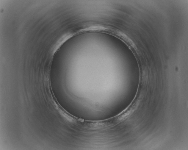 X0000076241425200610051144