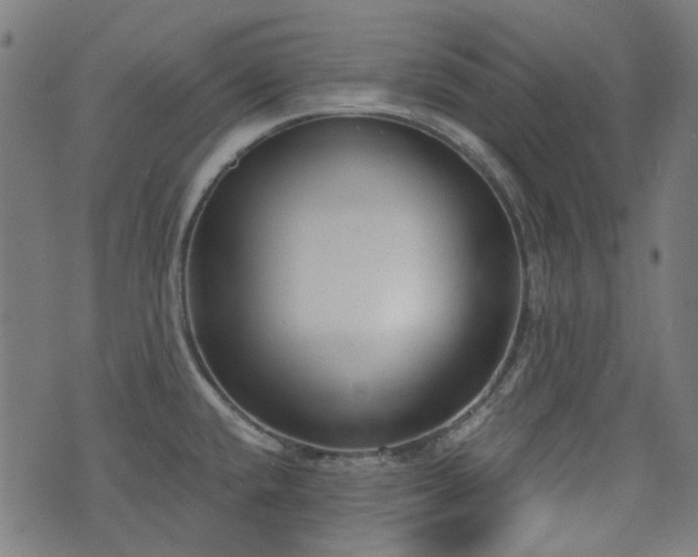 X0000076241432200610051144