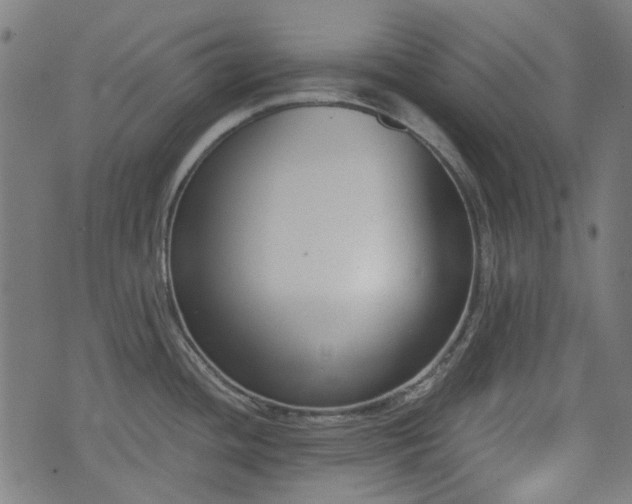X0000076241436200610051144
