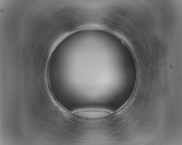 X0000076241440200610051144