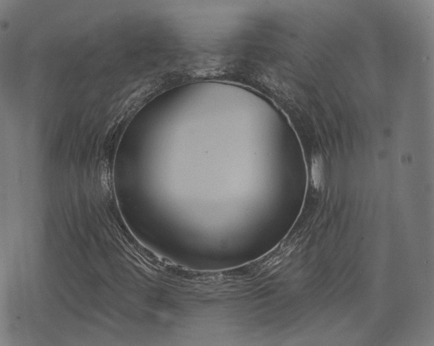X0000076241444200610051143