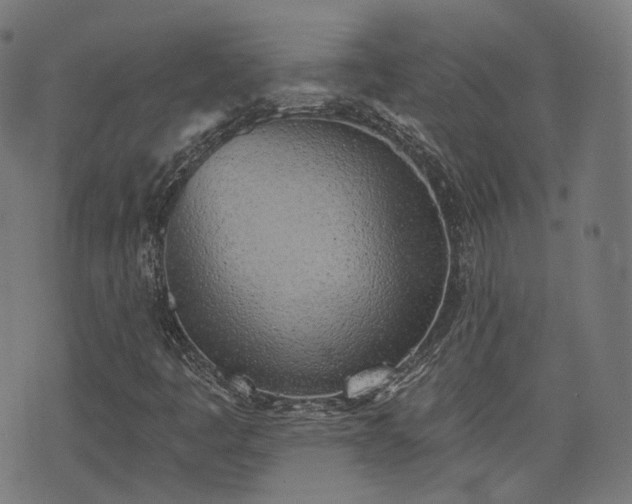 X0000076241445200610051143