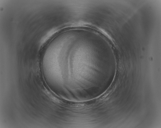 X0000076241456200610051143