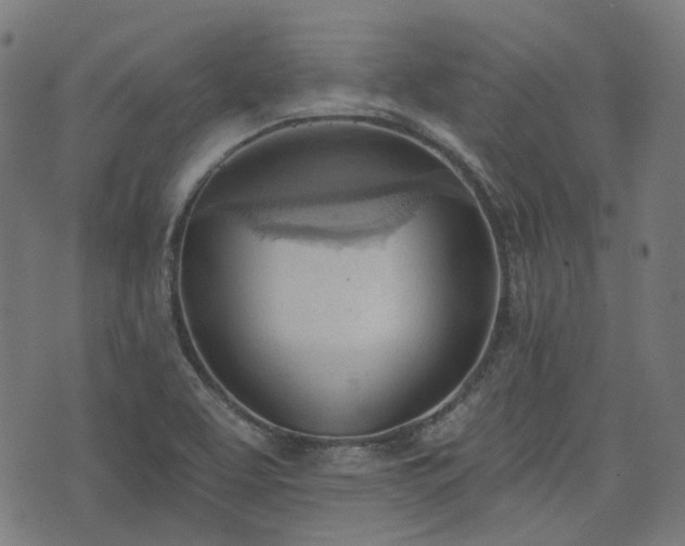 X0000076241463200610051143
