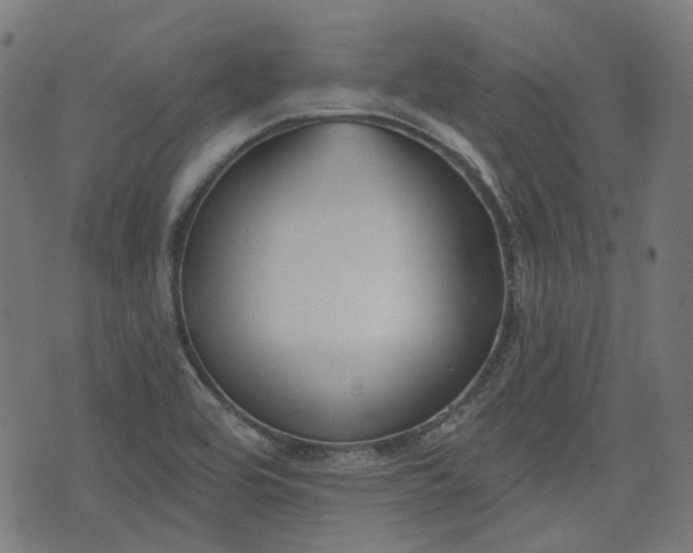 X0000076241464200610051143