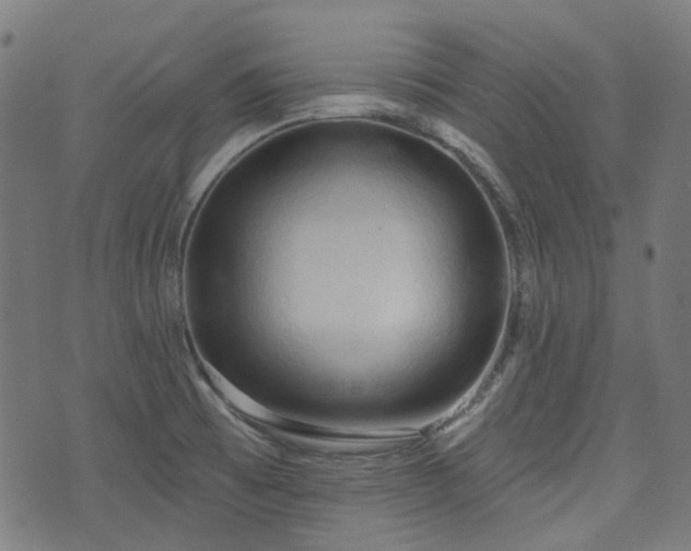 X0000076241473200610051143