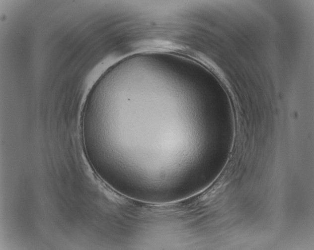 X0000076241488200610051142