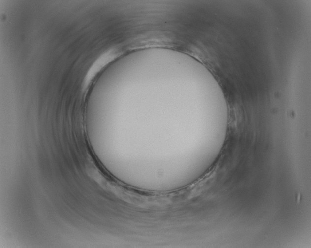 X0000076240004200610122152