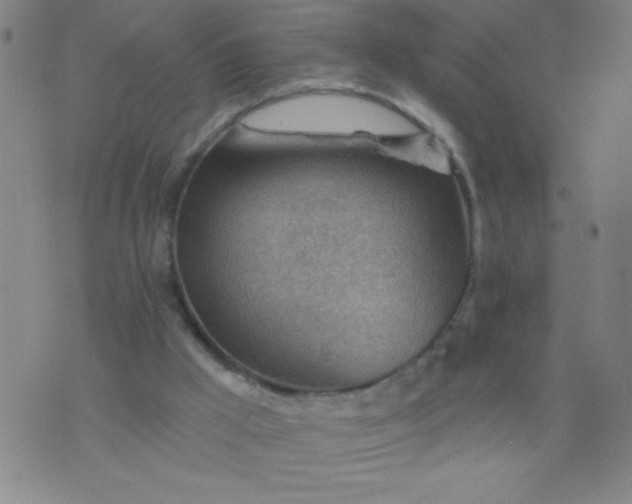 X0000076240009200610122152