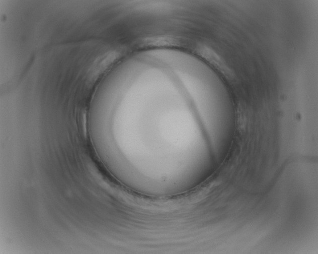 X0000076240014200610122152