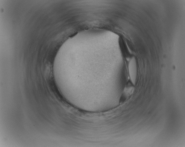 X0000076240029200610122151