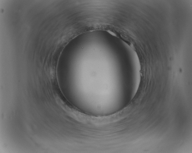 X0000076240039200610122151