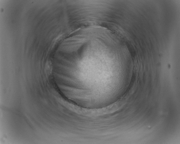 X0000076240043200610122151
