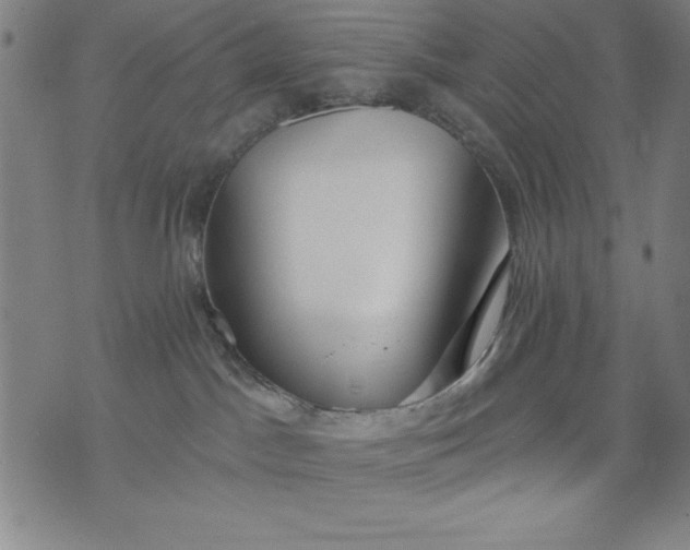 X0000076240045200610122151