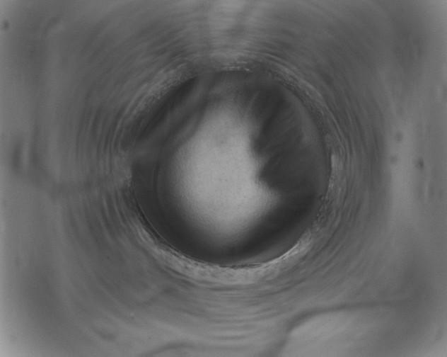X0000076240048200610122151