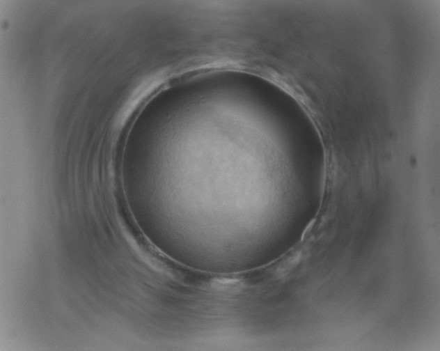 X0000076240055200610122150