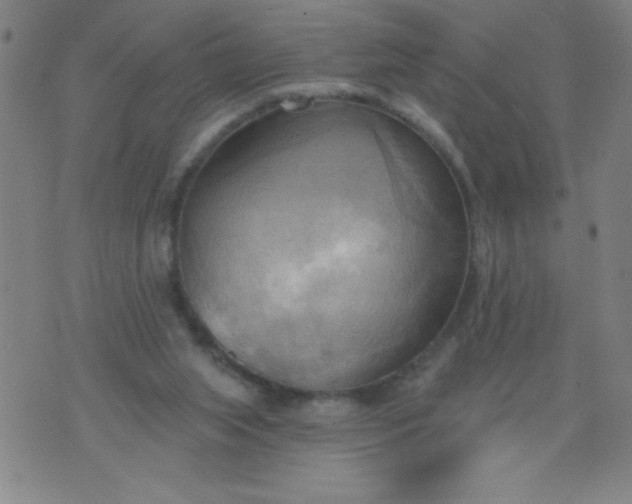 X0000076240063200610122151