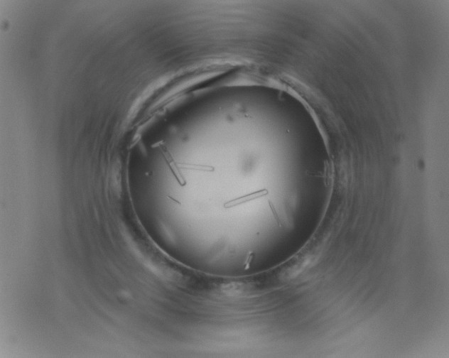 X0000076240064200610122151