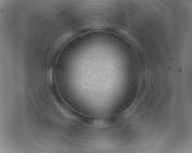X0000076240070200610122151