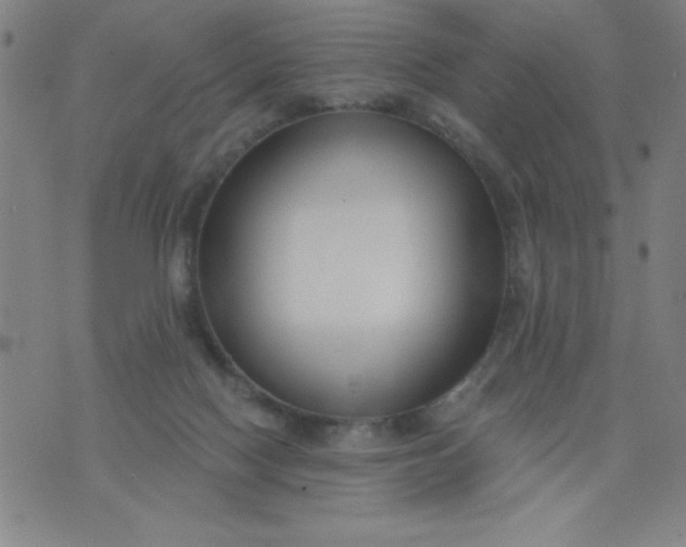 X0000076240074200610122151
