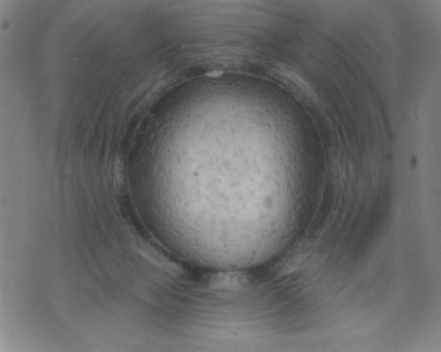 X0000076240077200610122151