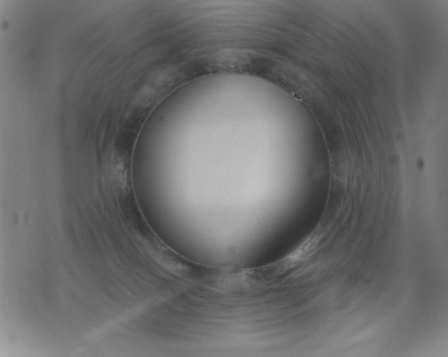 X0000076240086200610122151