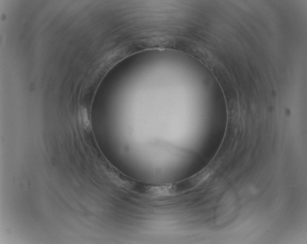 X0000076240089200610122151