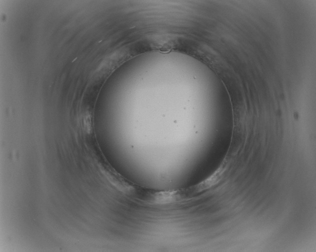 X0000076240090200610122151