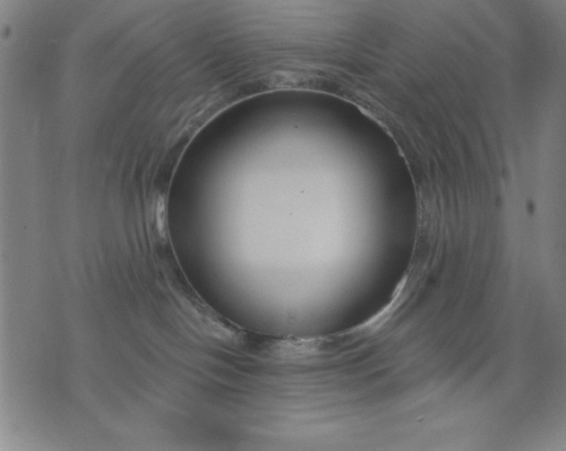 X0000076240094200610122151