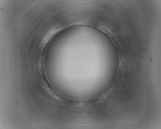 X0000076240098200610122150